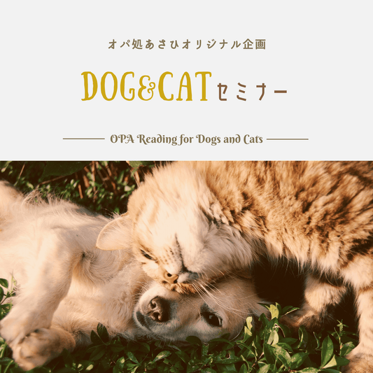 Dog & Catセミナー